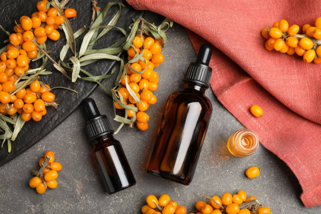 Sea buckthorn oil guide