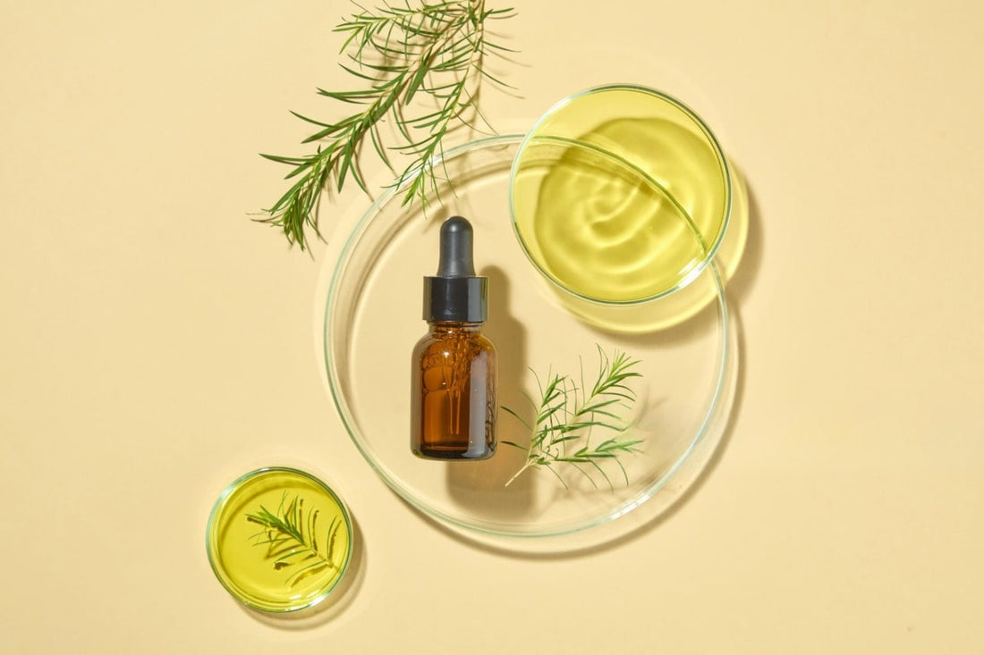 Tea Tree Oil Benefits