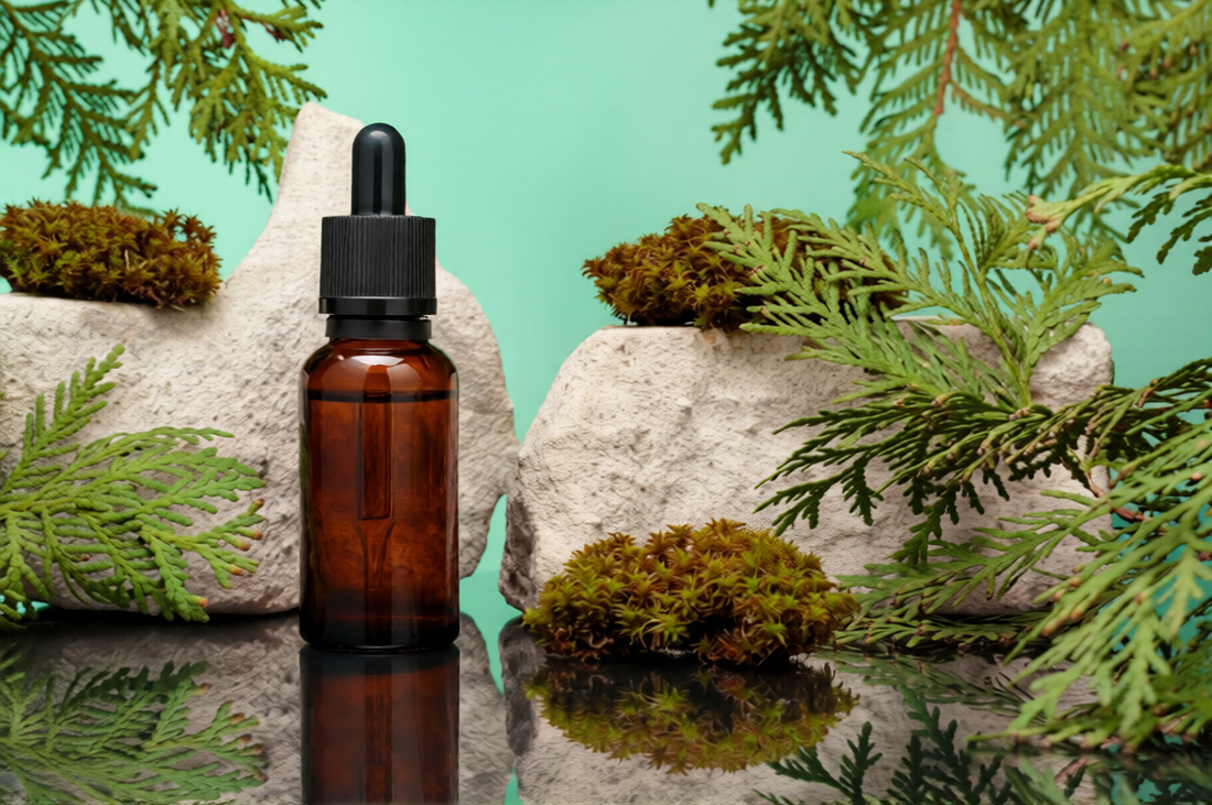 Why tea tree oil is essential for healthy skin and hair