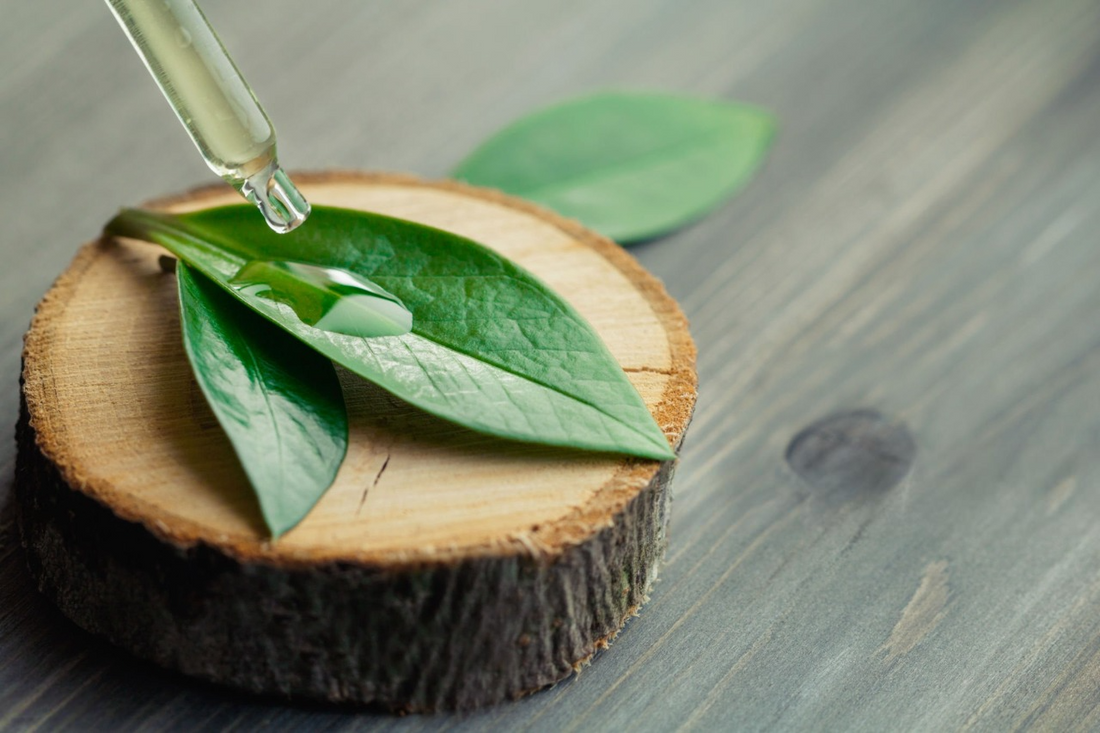 Tea Tree Oil for Skin